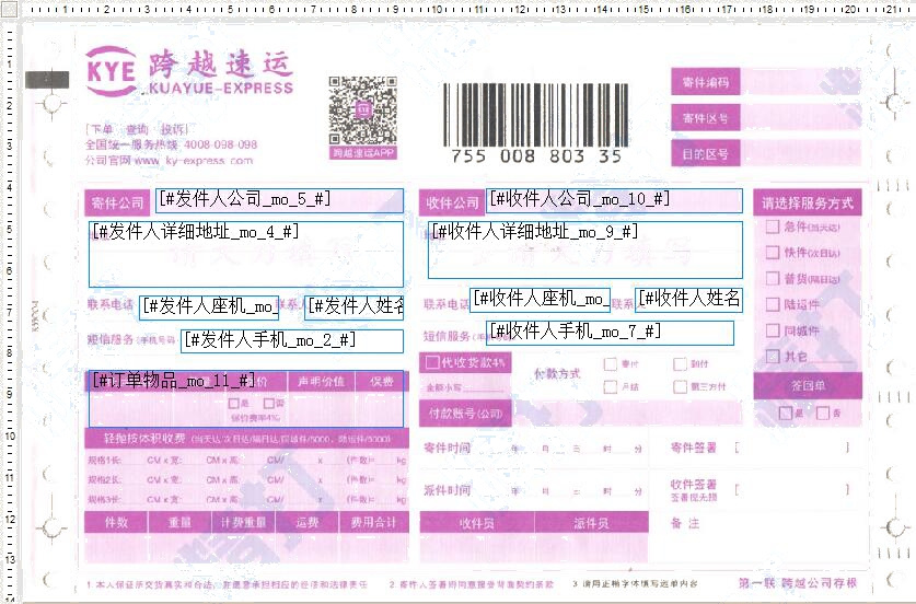 跨越速運1號模板