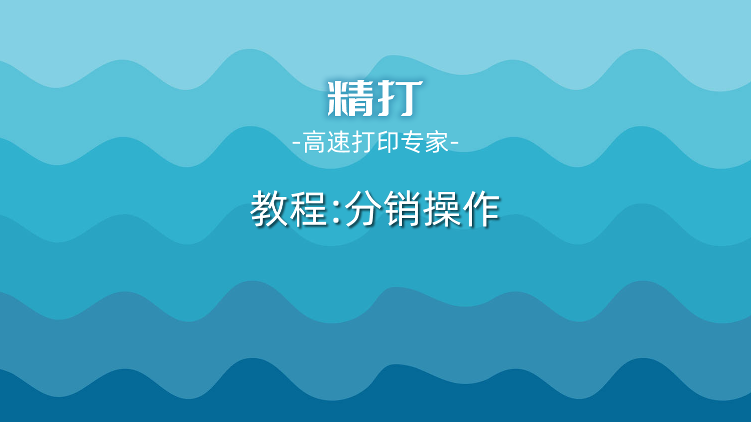 精打視頻教程(22)分銷打印-廠方打印